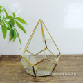 Terrarium géométrique en verre ouvert en forme de boule du pentagone